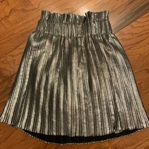 Pleated Metallic ZARA Skirt